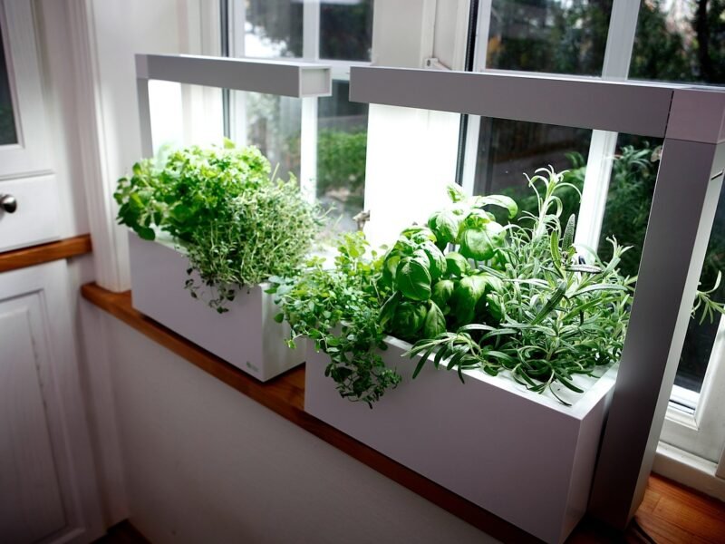 window herb garden