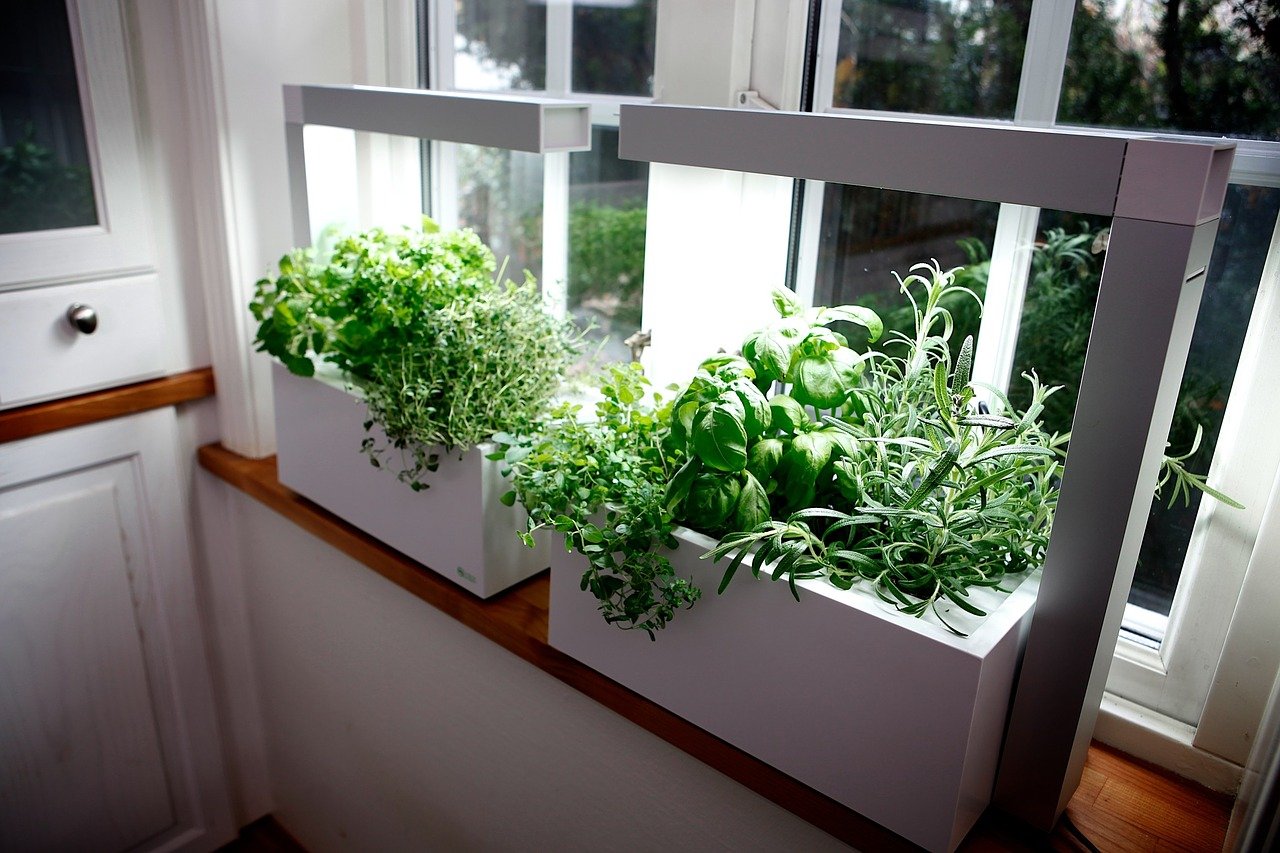 window herb garden