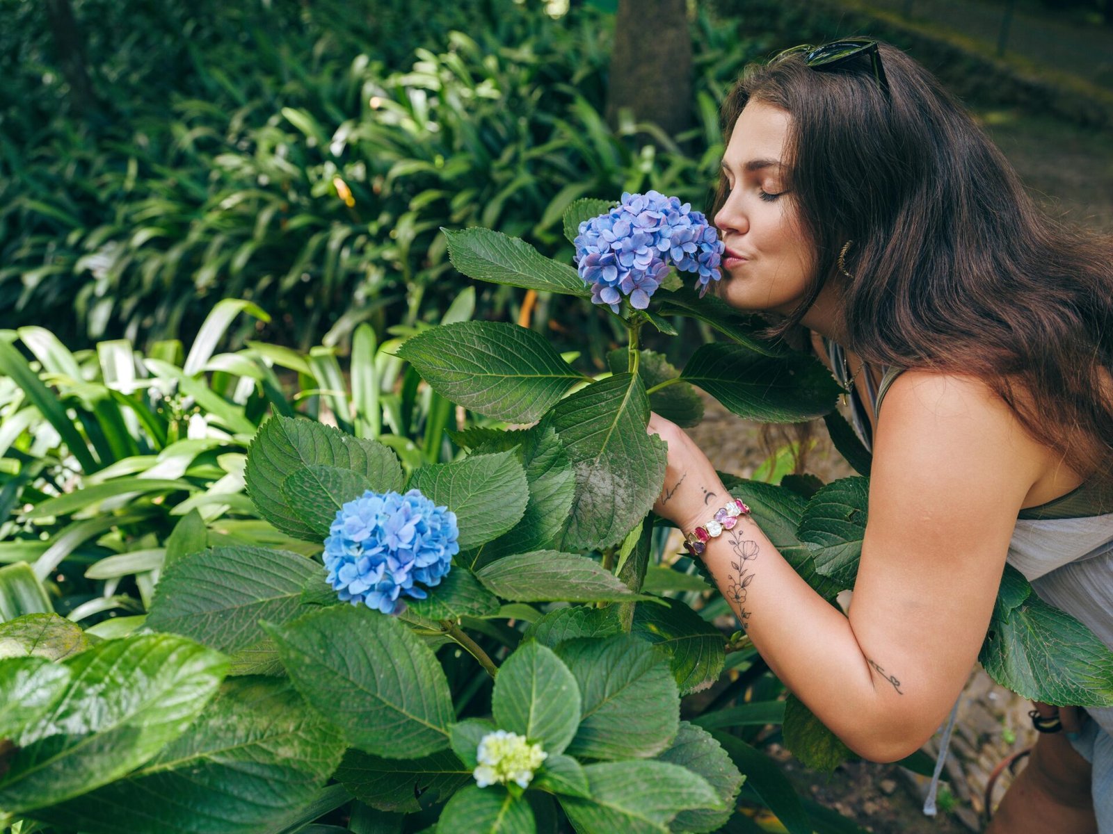 blue hydrangeas