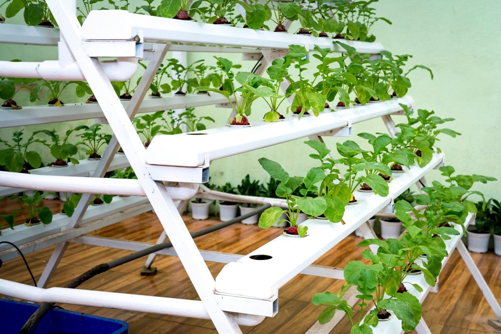 indoor hydroponic garden