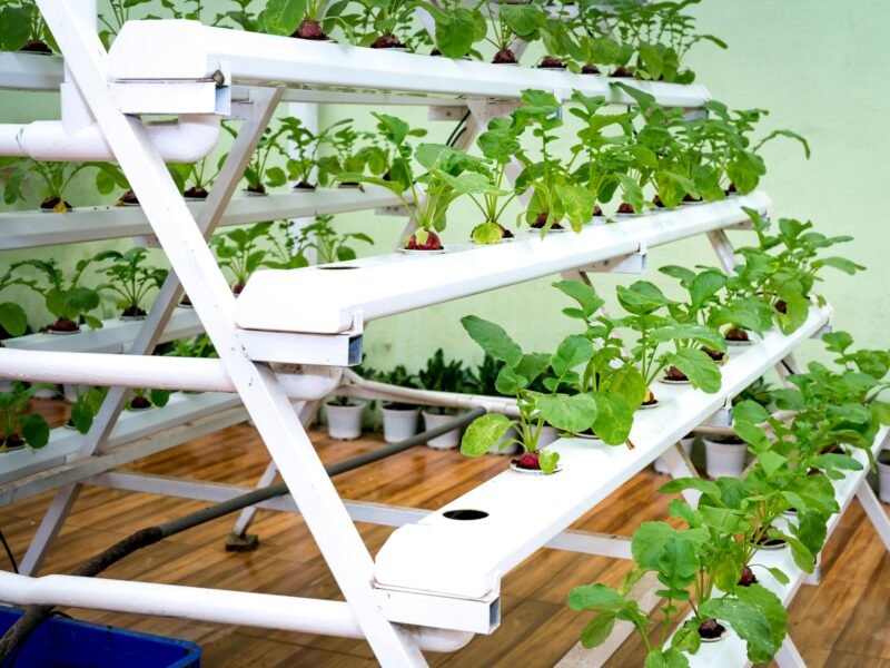 indoor hydroponic garden