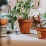 indoor planter pots