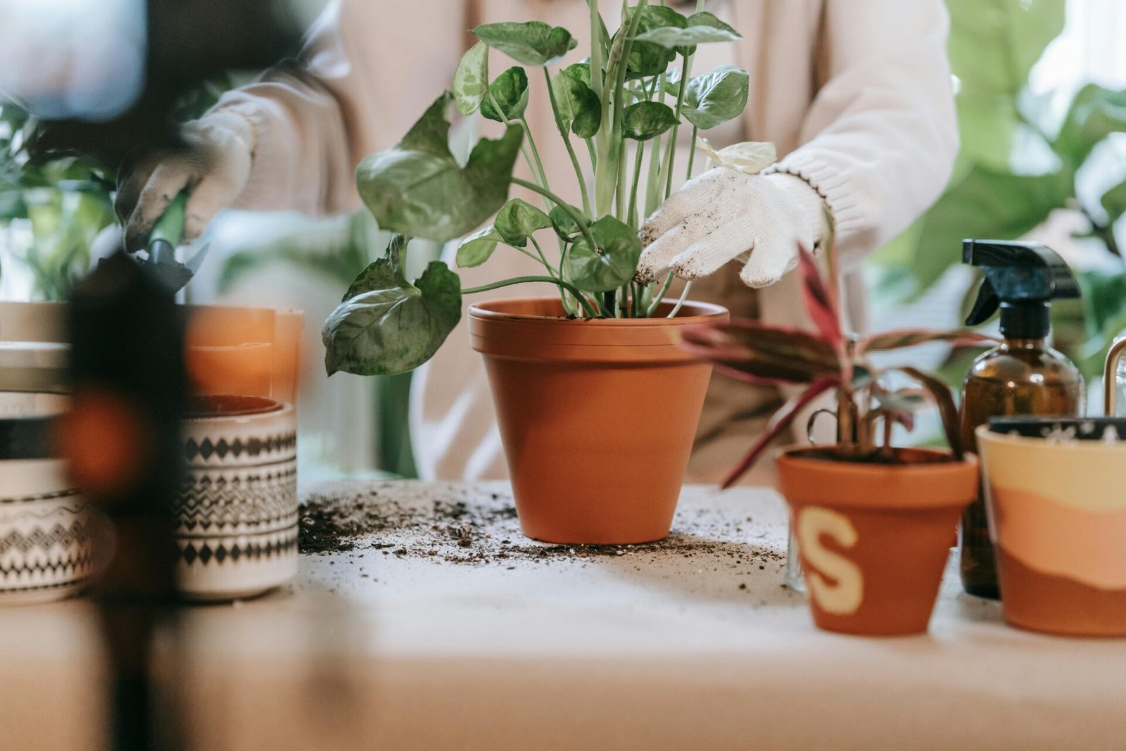 indoor planter pots