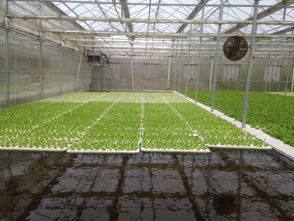 indoor hydroponic garden