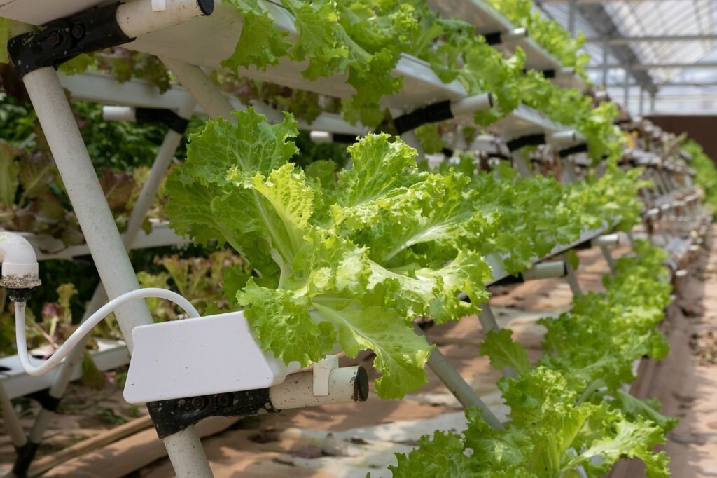 indoor hydroponic garden