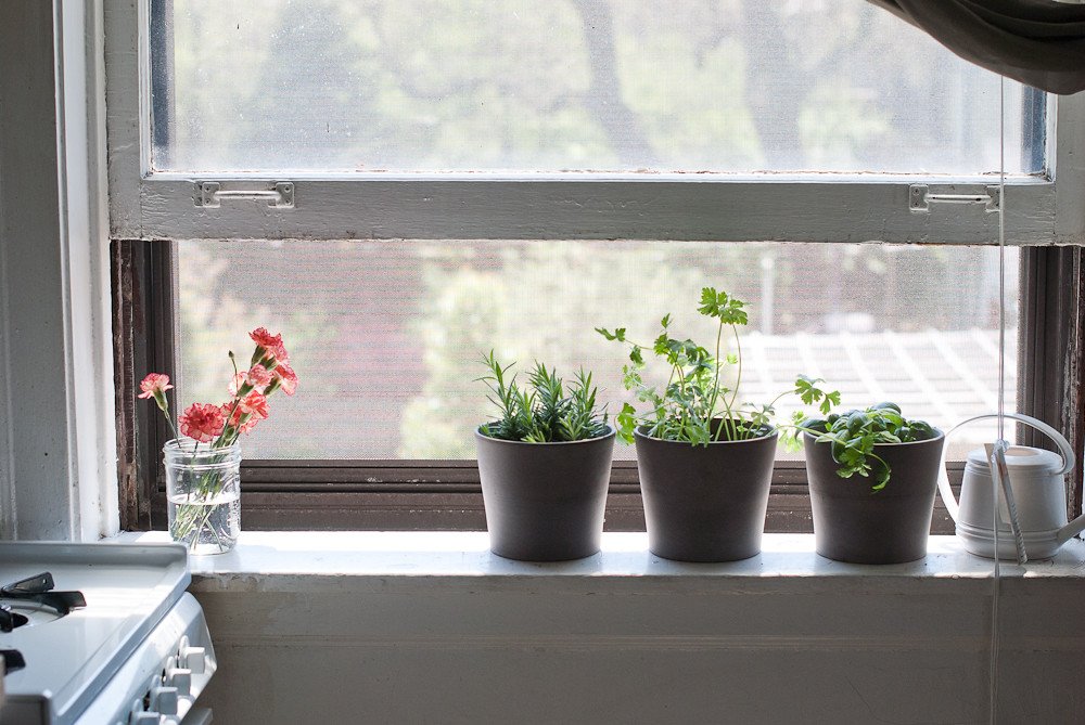 window herb garden