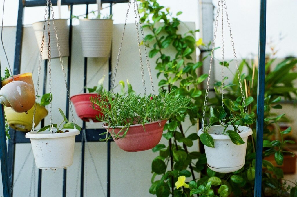 window herb garden