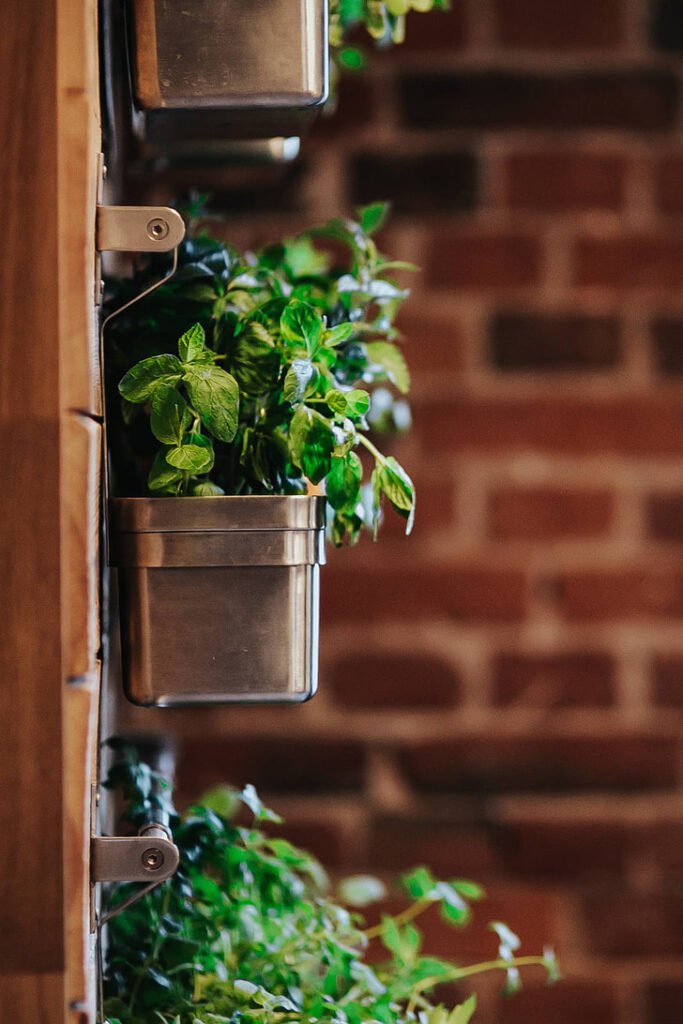 window herb garden