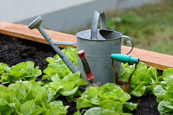 indoor garden kit