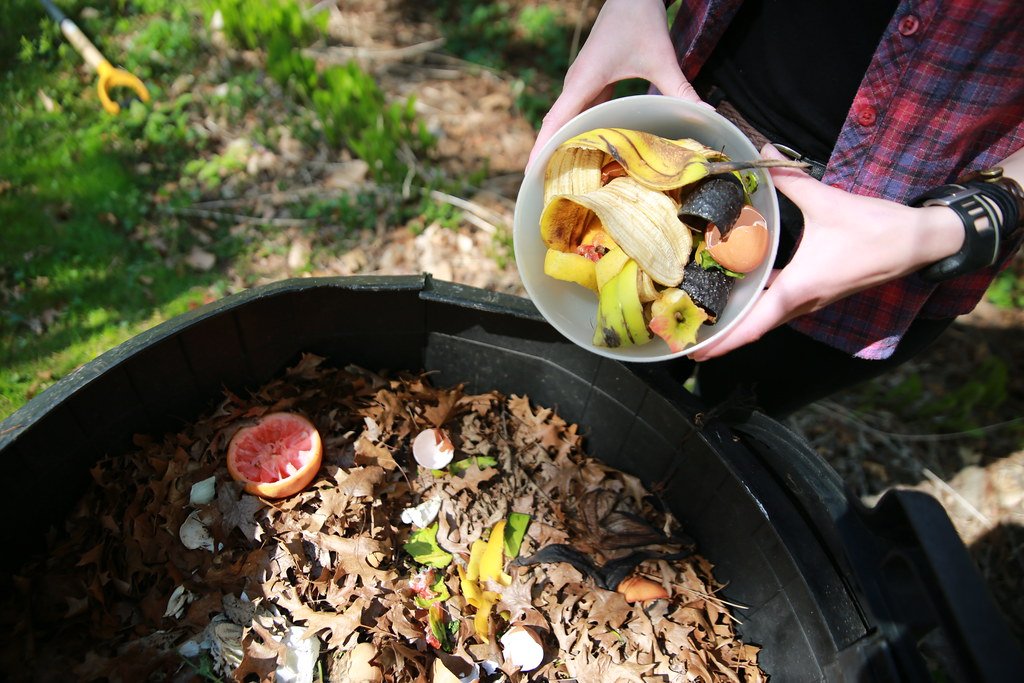 indoor plant potting soil