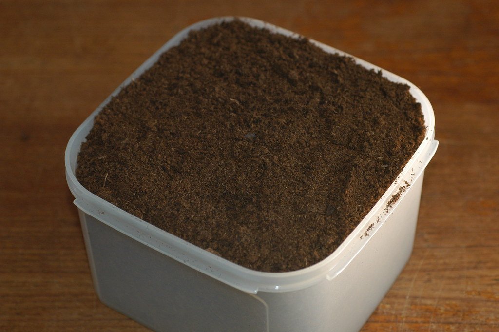 indoor plant potting soil