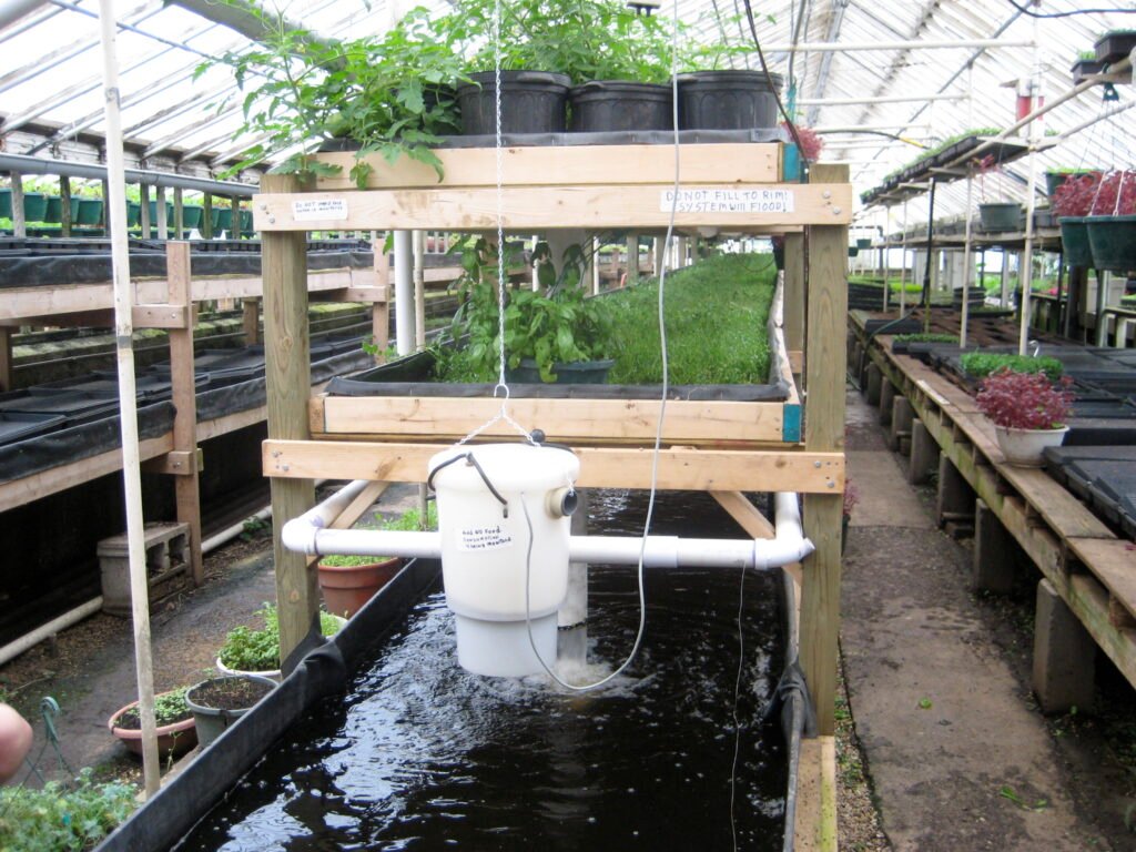 Indoor Plant Irrigation Systems