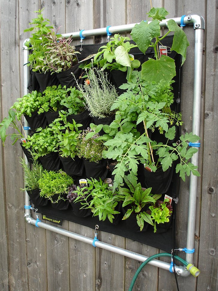 indoor wall garden​