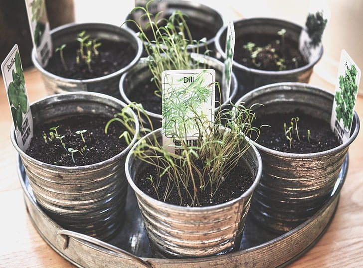 diy hanging planter