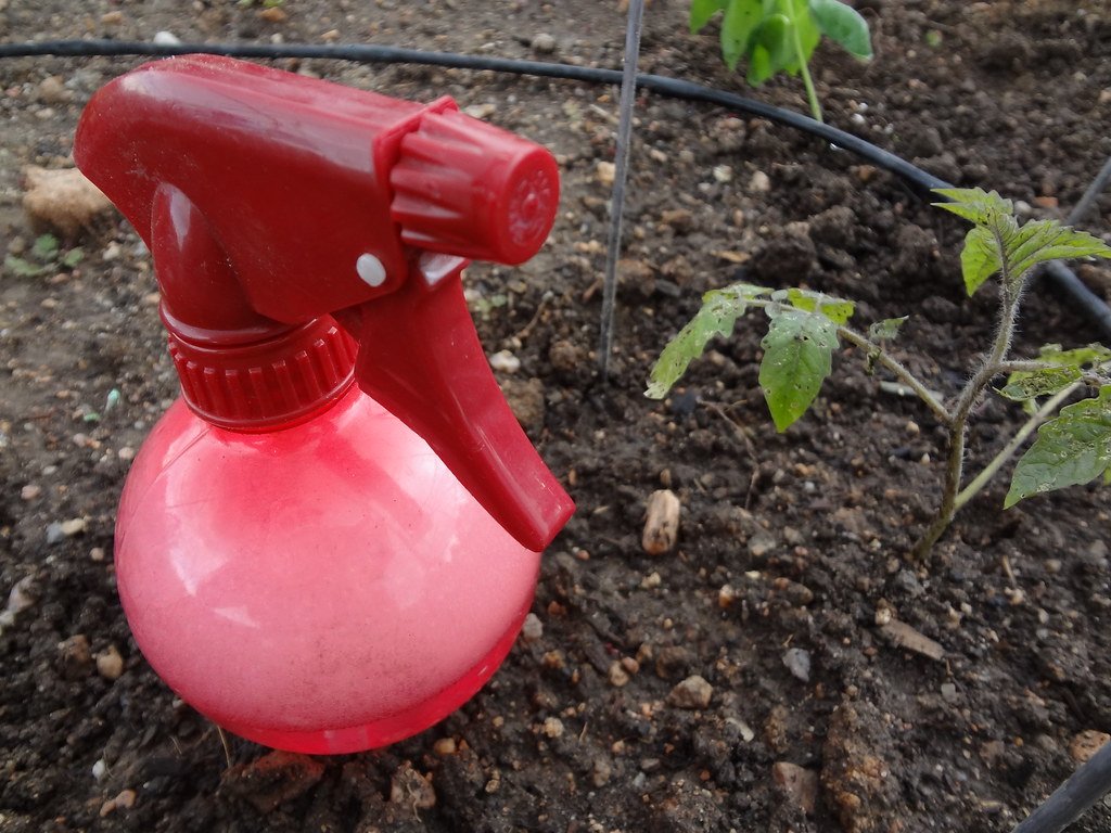 indoor plant pesticide