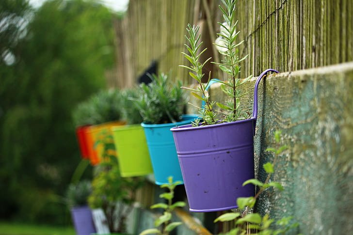 indoor wall garden​