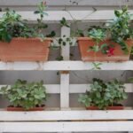 herb garden from pallets