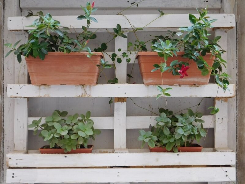 herb garden from pallets