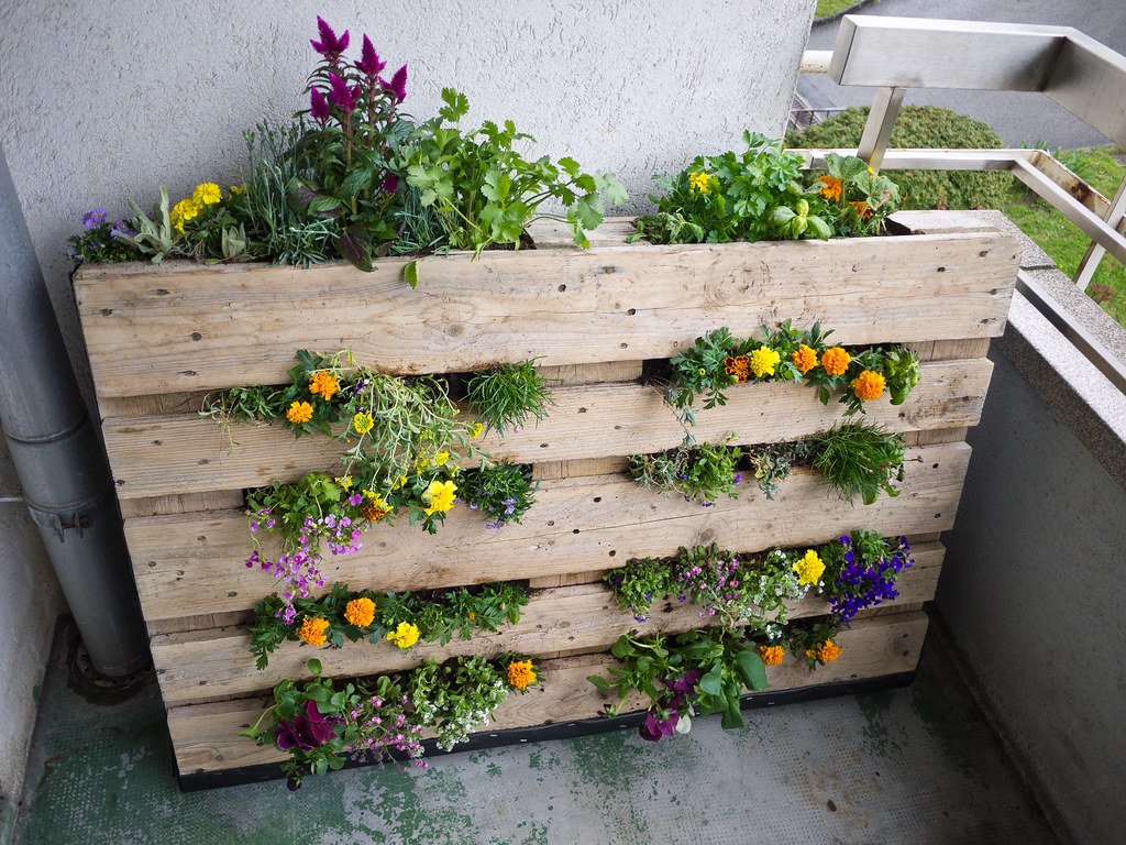 herb garden from pallets